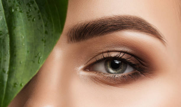 The Evolution of Eyelash Tinting: From Traditional to Trendy