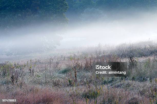 Prado En Niebla Foto de stock y más banco de imágenes de Aire libre - Aire libre, EE.UU., Fotografía - Imágenes