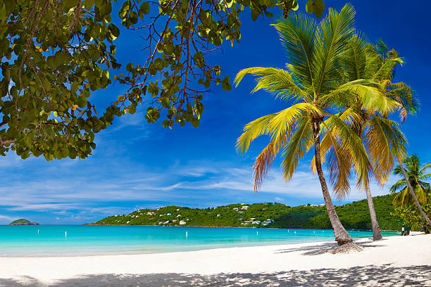 istock Magens Bay, St. Thomas, US Virgin Islands 187480032