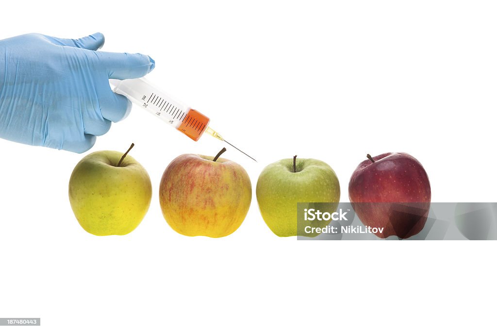 Genetic experiment Genetic experiment with four different sorts of apples Apple - Fruit Stock Photo