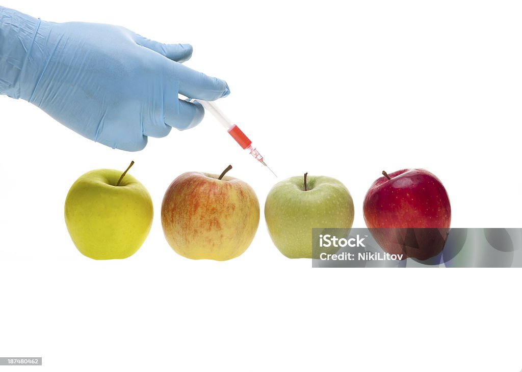 Genetic experiment Genetic experiment with four different sorts of apples Apple - Fruit Stock Photo