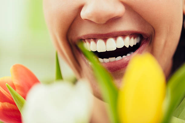 Spring Smilie 590+ Human Teeth Spring Flower Women Stock Photos, Pictures & Royalty ...
