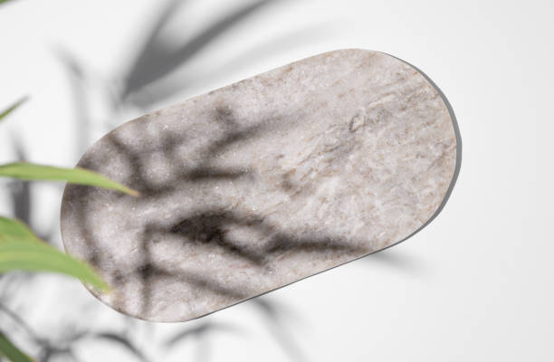 istock Empty marble board or tray with shadows and green leaves on white background. 1874810284