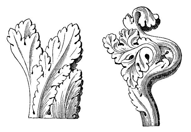 vintage illustration der gotischen acanthus (ornament) - classical greek greek culture roman greece stock-grafiken, -clipart, -cartoons und -symbole