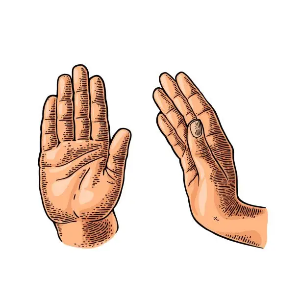 Vector illustration of Hand showing stop gesture. Front and side view. Vector vintage engraving illustration