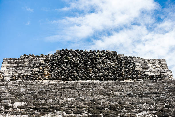 rovine di chacchoben in costa maya - chacchoben foto e immagini stock