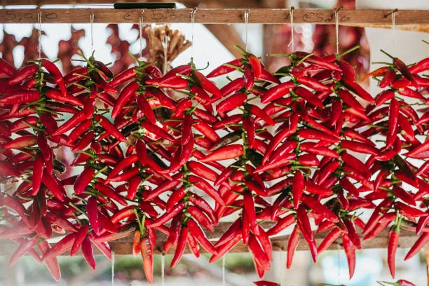 istock Rows of Hanging red peppers 1874836350