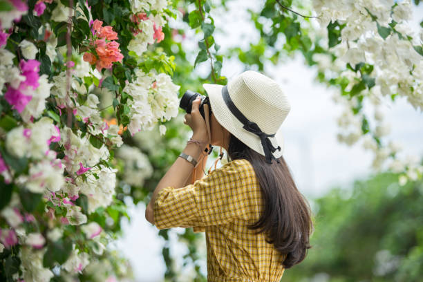 Young female photographer is taking picture of bougainvillea flowers - Nha Trang, Khanh Hoa province, central Vietnam