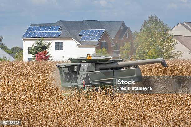 Combinar Colheita De Milho Campo Junto A Um Suburbanos Neighborhood - Fotografias de stock e mais imagens de Agricultura