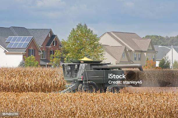 컴바인 수확 옥수수 필드 옆에 교외 이웃이란 가을에 대한 스톡 사진 및 기타 이미지 - 가을, 가장자리, 개발