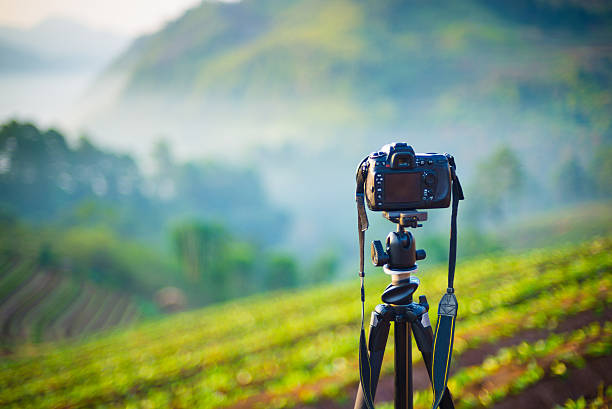 Camera and lens taking photograph in morning time
