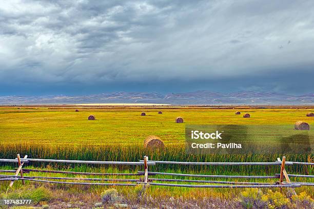 Cokeville Meadows National Wildlife Refuge Stock Photo - Download Image Now - Meadow, Agriculture, Bale