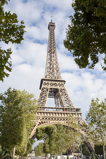 Unique low-angle view of Spring Flowers beneath Eiffel Tower.