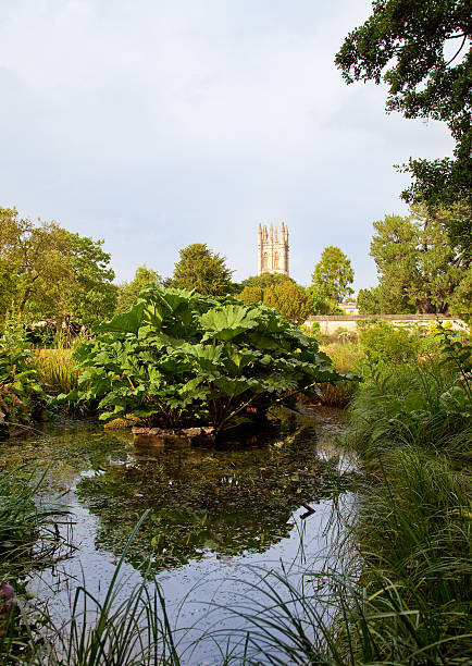 istock Oxford in summer, UK 187485120