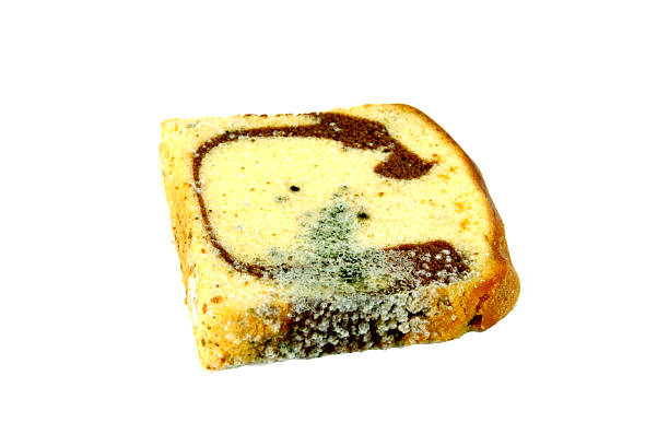 istock Moldy sliced bread loaf over a white background. 187485166