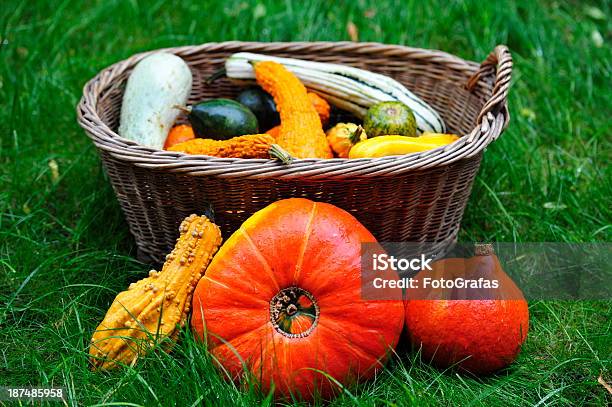 Pumpkins En El Césped Para Celebración Del Día De Acción De Gracias Foto de stock y más banco de imágenes de Aire libre