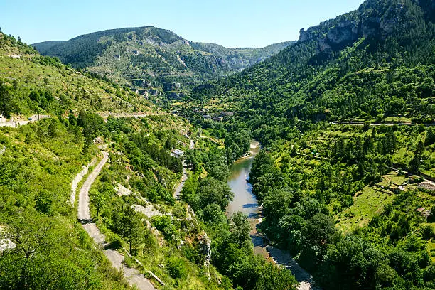 Gorges du Tarn (Lozere, Linguedoc-Roussillon, France), famous canyon at summer.
