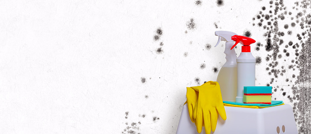 Accessories for cleaning from stains of poisonous bacteria mold and fungus on the background of a moldy wall with copy space for text. Rubber protective gloves, anti-mold spray and sponge