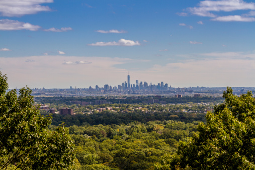 View on Lower Manhatten from the Distance, looking like an Island in the Forests of New Jersey