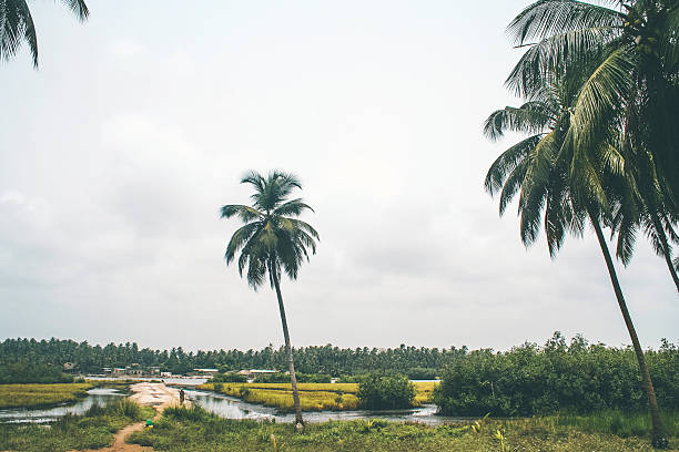 African lagoon side, village in background.