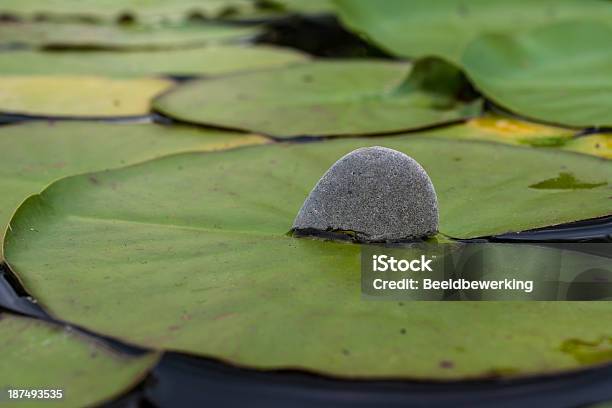 Photo libre de droit de Zen Pierre Flottante banque d'images et plus d'images libres de droit de Au-dessus de - Au-dessus de, Beauté de la nature, Caillou