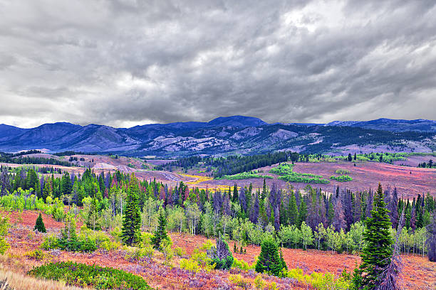 Autumn south from Geneva, U.S. Highway 89(Monpelier Canyon Road 89 ), Idaho-Wyoming border, USA.