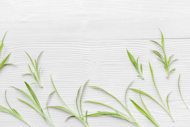 istock Herbal floral pattern with green leaves. Herbal cosmetic or medicine background 1874940603