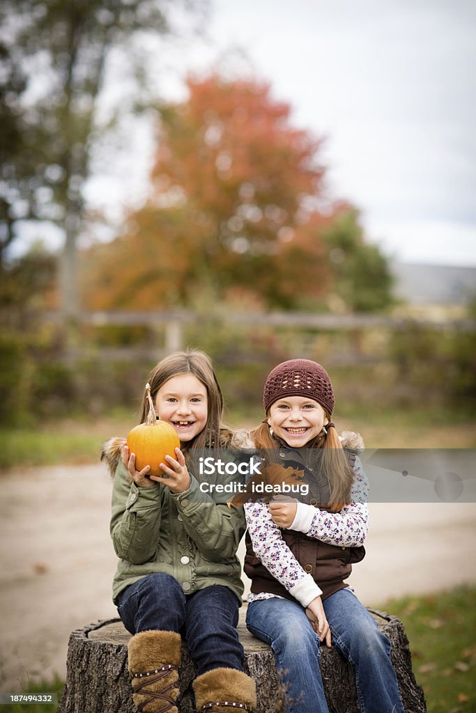 笑うの小さな姉妹保持パンプキン、秋の葉 - 2人のロイヤリティフリーストックフォト