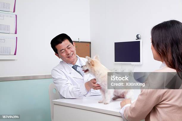 Woman With Pet Dog In Veterinarians Office Stock Photo - Download Image Now - Pets, Petting, Veterinarian