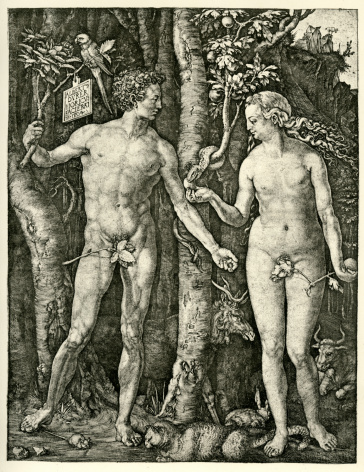Adam and Eve by Albrecht Durer, 1504. Albrecht Durer was a German painter, engraver, printmaker, mathematician, and theorist from Nuremberg. He has been conventionally regarded as the greatest artist of the Northern Renaissance.