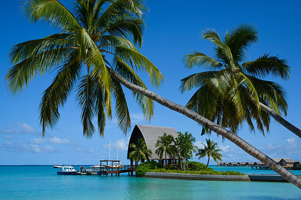 istock Beautiful Maldives Seascape 187495354
