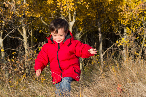 A little boy outside in the tall grass with autumn yellow trees in the background.