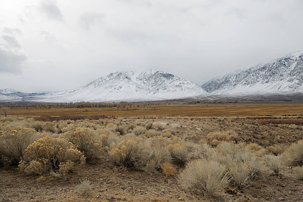 istock Sierra Nevada mountains California 187495814