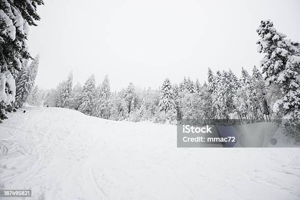 Zimowy Krajobraz Ze Śniegiem I Drzew - zdjęcia stockowe i więcej obrazów Alpy - Alpy, Arktyka, Bez ludzi