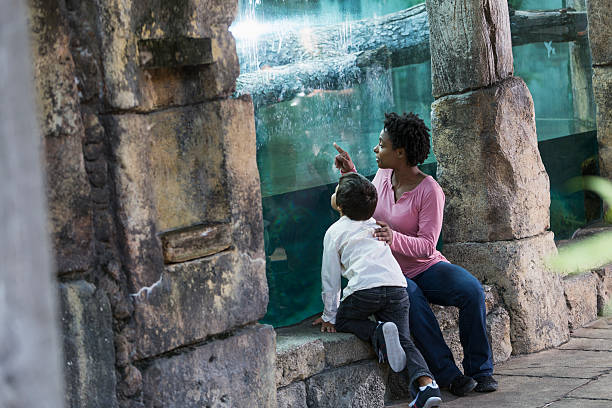 istock Mother and son at the zoo 187497081