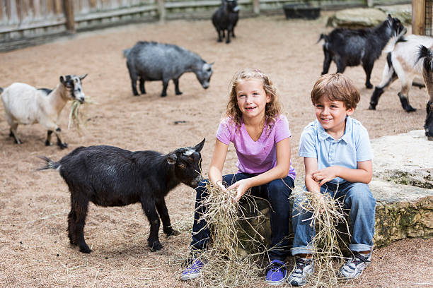 istock Children at petting zoo 187497086