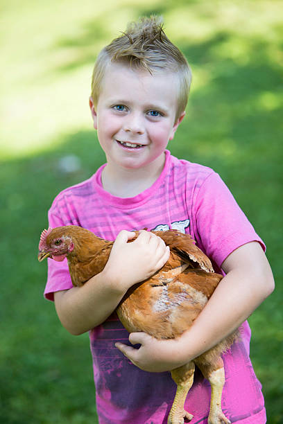 istock City Boy with Farm Chicken 187498075