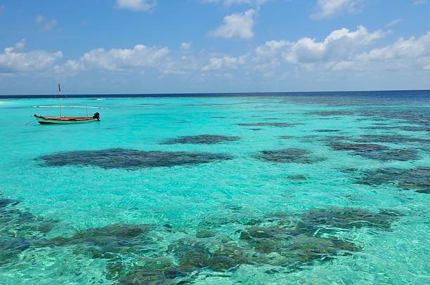 Tropical Beach Maldives stock photo