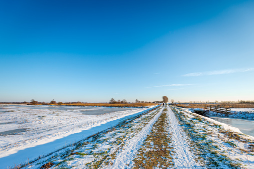 Dutch polder landscape on a sunny afternoon in the winter season. At the end of a long unpaved road two women are walking with their dog.