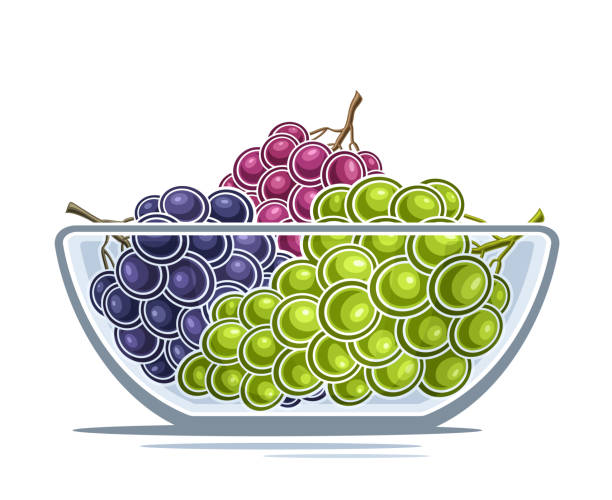 ilustraciones, imágenes clip art, dibujos animados e iconos de stock de logotipo vectorial para uva - white background stack heap food and drink