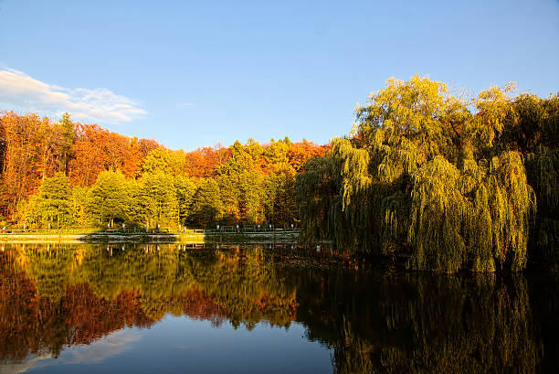 istock Park in autumn time 187502443
