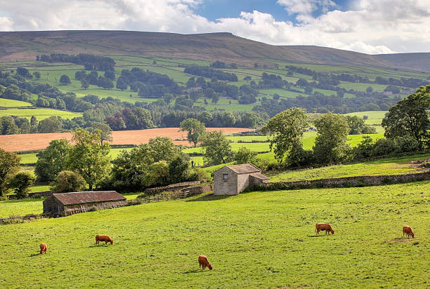 ヨークシャー middleham 、 - wensleydale ストックフォトと画像