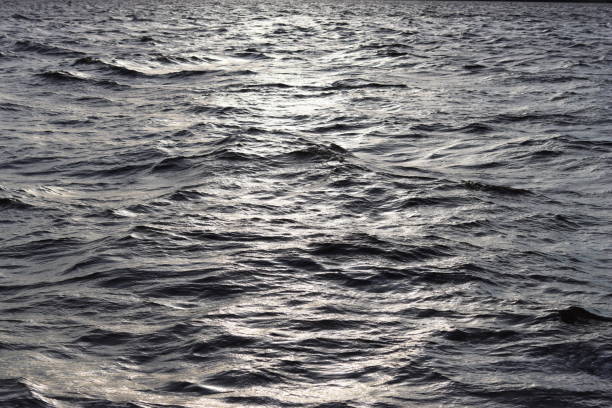 Sunlight shining onto blue sea with choppy waves