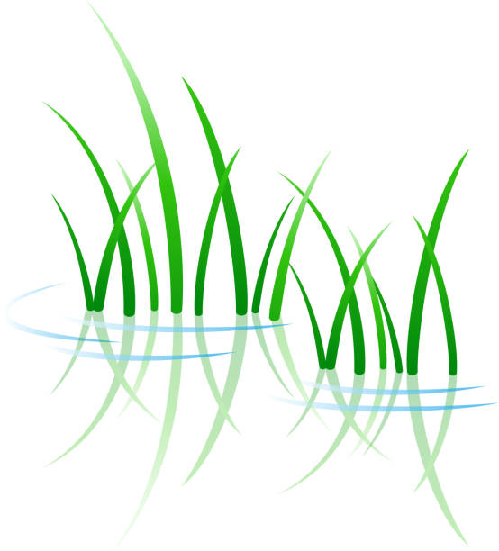 вектор значок лист - травинка stock illustrations