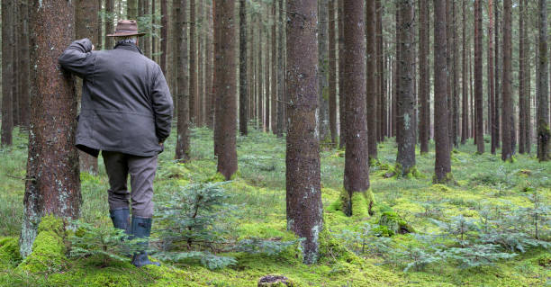 istock The man in the forest. 1875070837