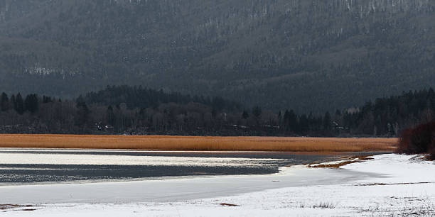 Lake Cerknica – Foto