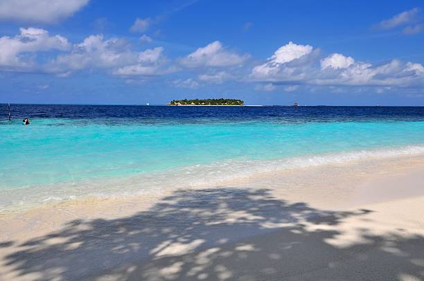 praia tropical em maldivas - male imagens e fotografias de stock