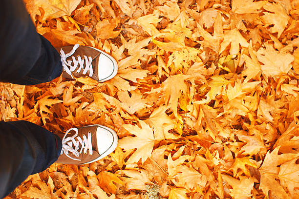 Canvas shoe on autumn leaves.