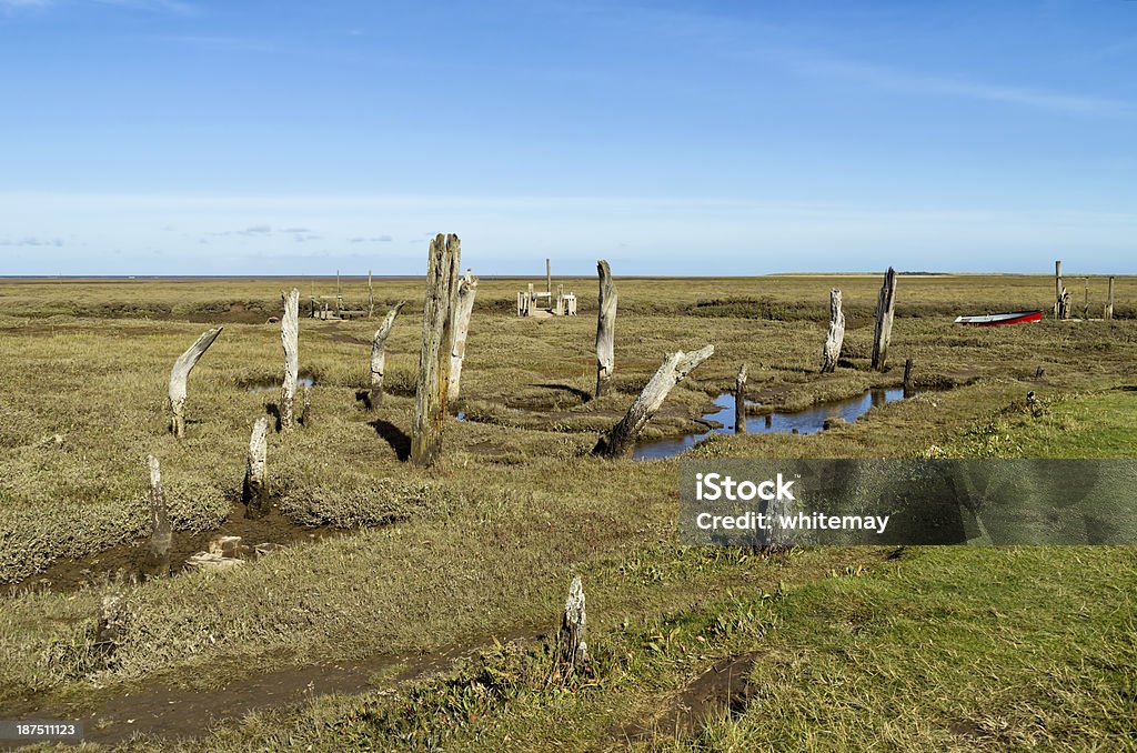 Árvore morta stumps sobre os pântanos de Thornham Norfolk. - Royalty-free Ao Ar Livre Foto de stock