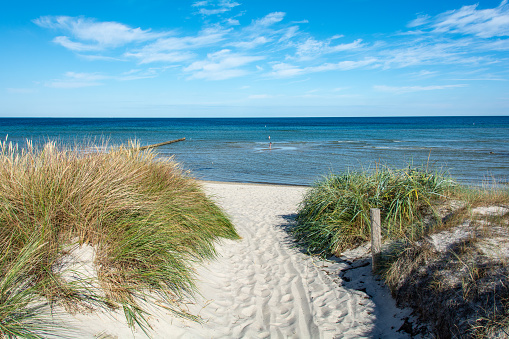 Sand dunes protect the shoreline on the bay side of Cape Cod national seashore. Elevated dunes along the Great Island trail on the outer Cape west of Wellfleet Massachusetts.